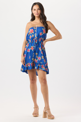 Ryden Mini Dress