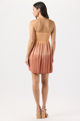 Shawna Mini Dress