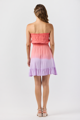 Ryden Mini Dress