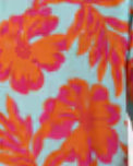 Aloha Shirt