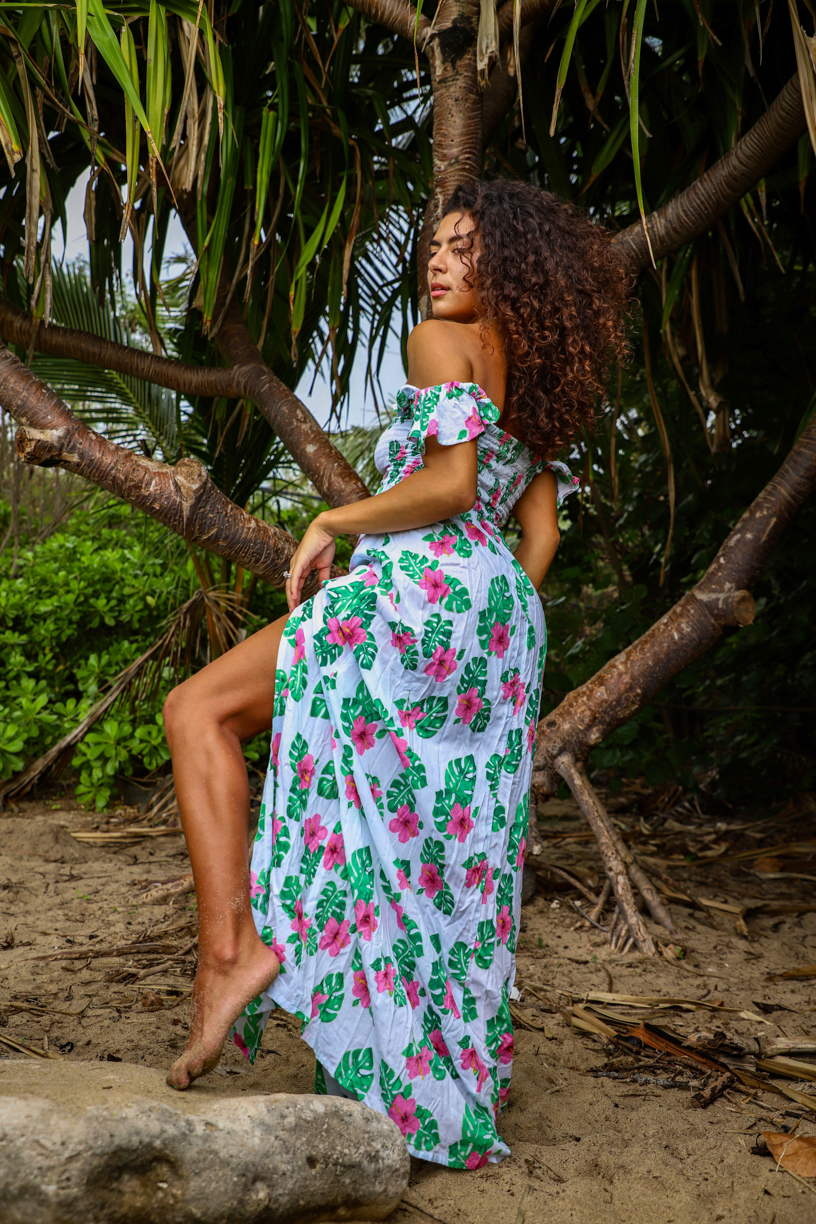 Hollie floral best sale maxi dress